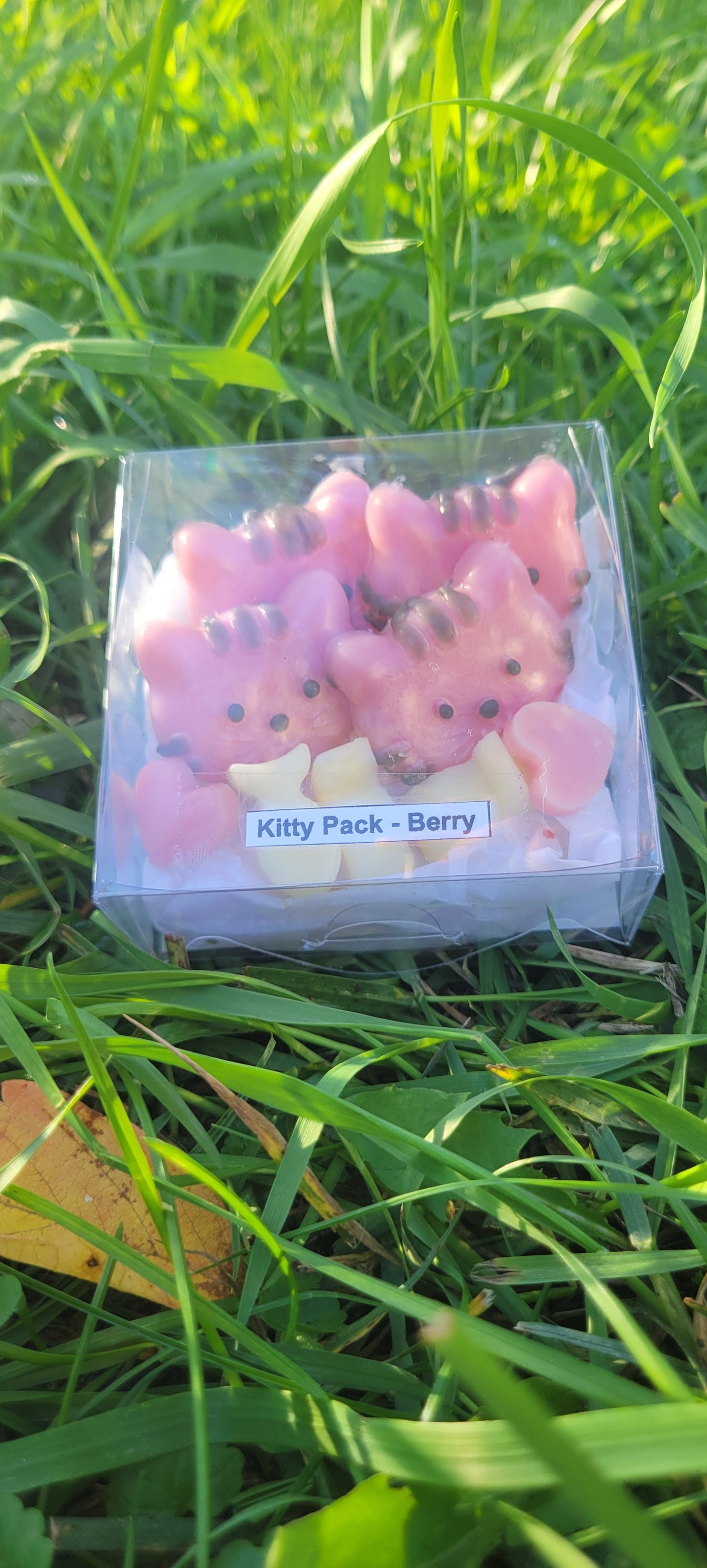 Kitty Packs